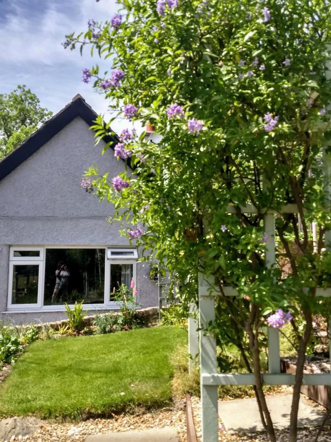 Pentre Isaf Bed & Breakfast Conwy Luaran gambar